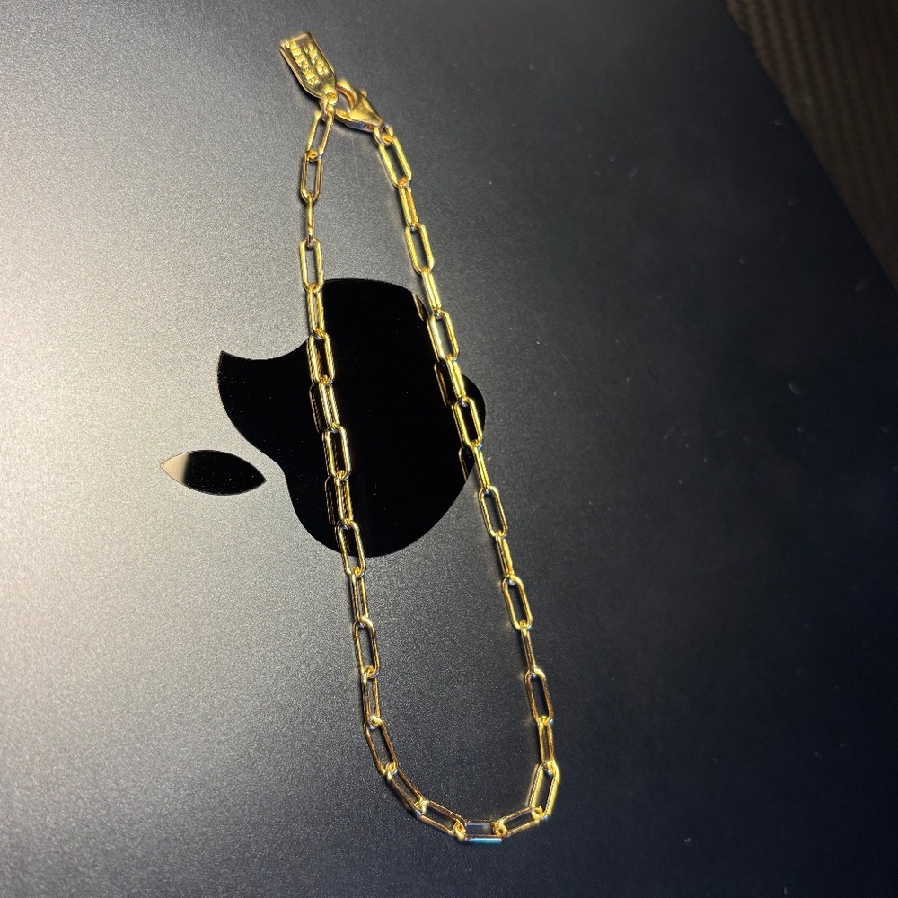 Electric Picks Jet Set Paperclip Anklet 14K filled